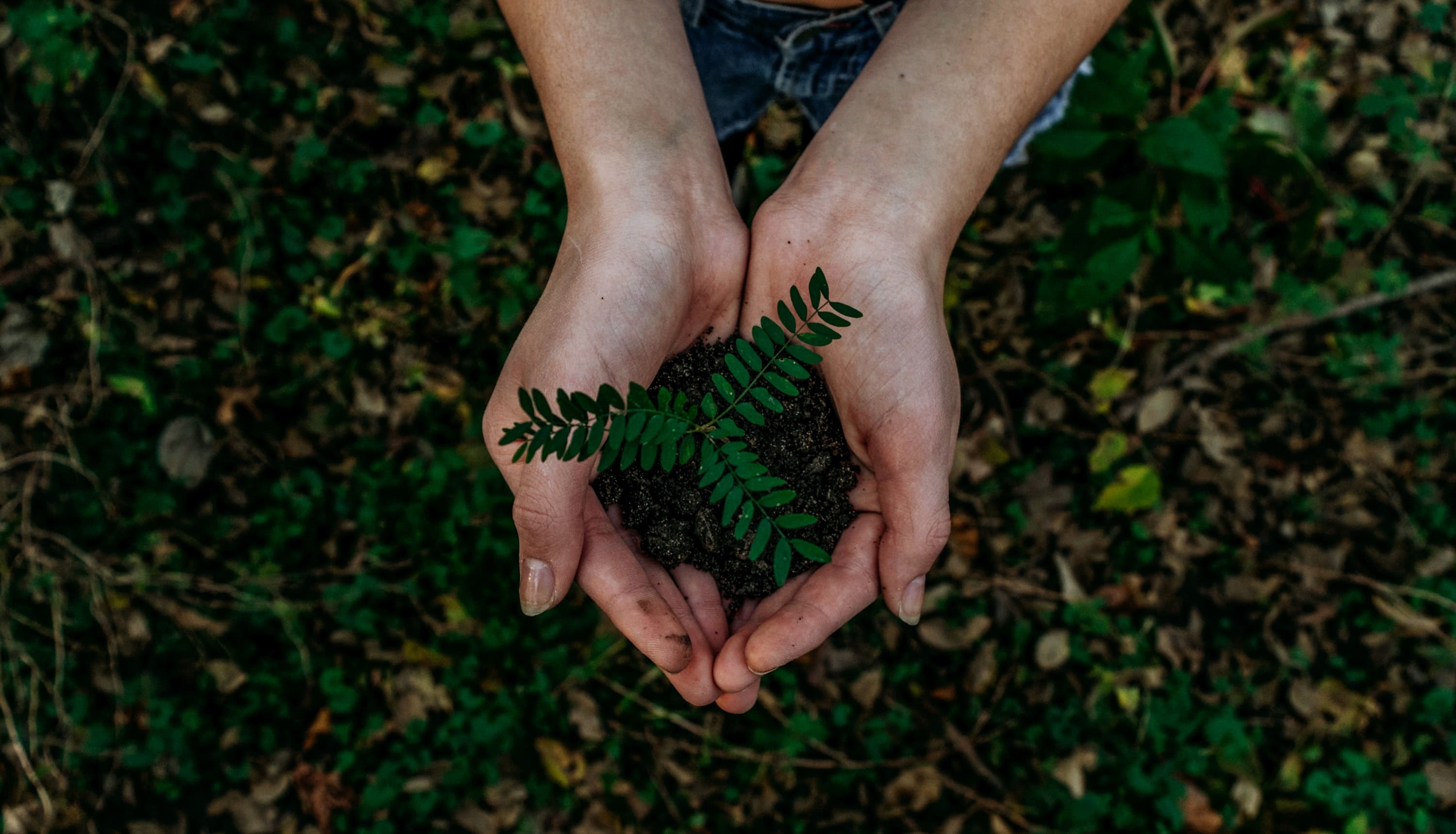 Recycling, downcycling, upcycling … what does it all mean?