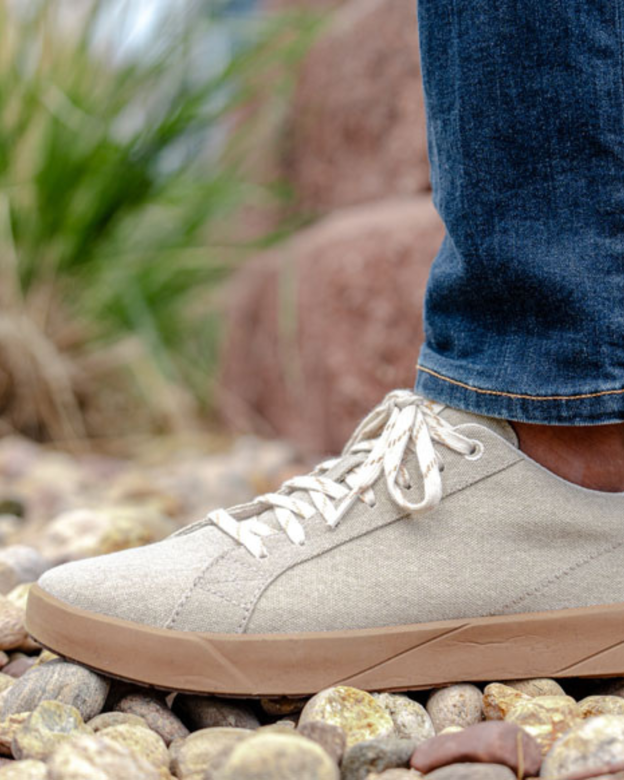 Cannon Canvas M 2.0 Dune - SAOLA SHOES
