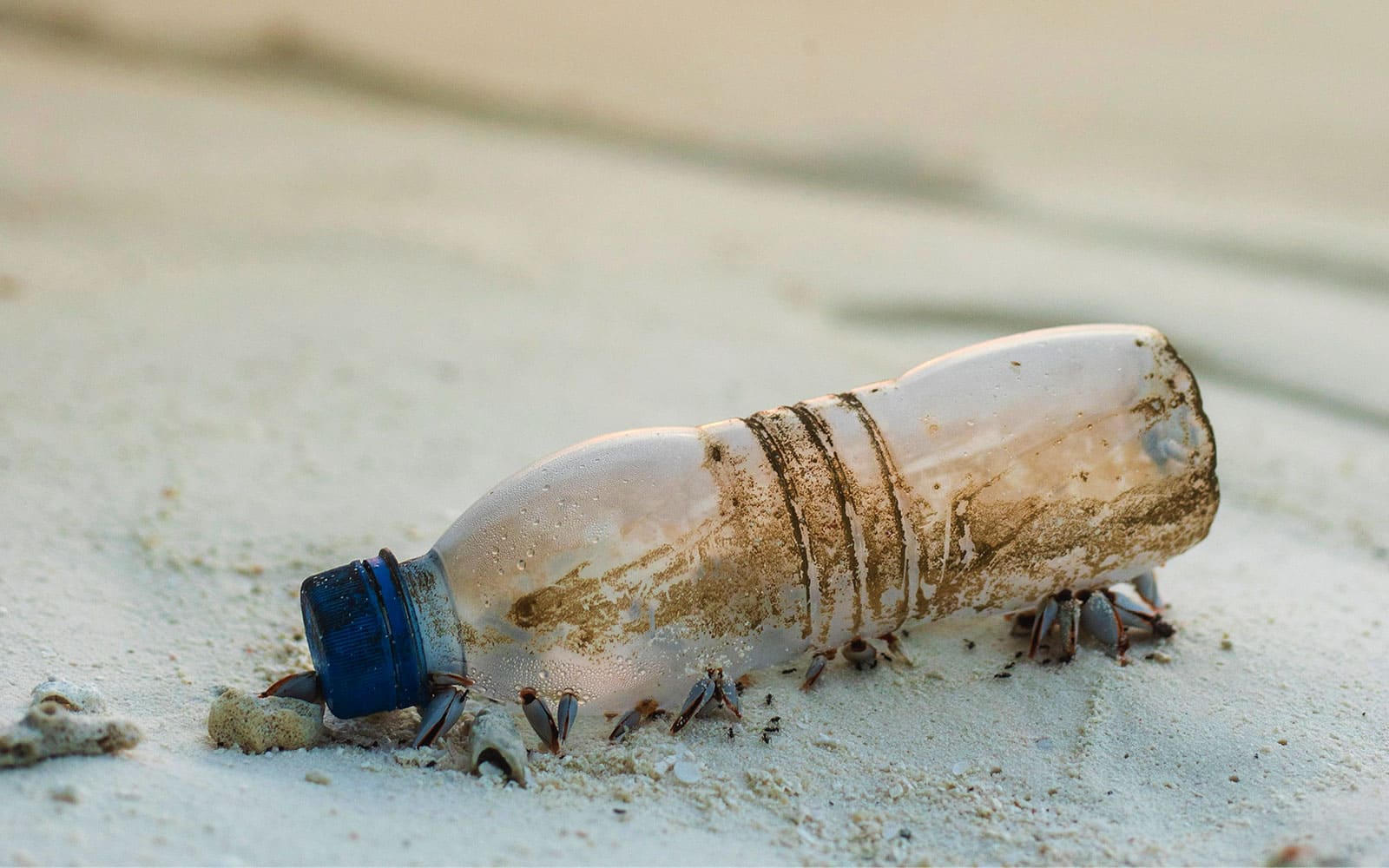 Shoes made of sales recycled plastic bottles